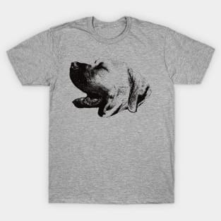 Boerboel gift for Boerboel Owners T-Shirt